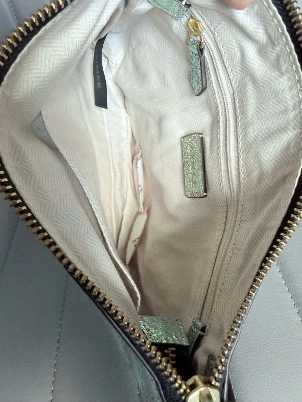 Aimee Kestenberg Iridescent Leather Crossbody with Gold Hardware Party Bag
